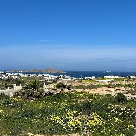 Aretousa Residence In Naoussa, Paros Exterior photo