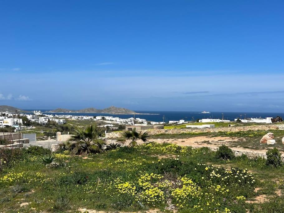 Aretousa In Naoussa, Paros